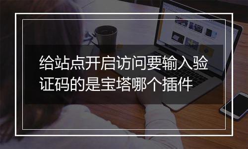 给站点开启访问要输入验证码的是宝塔哪个插件
