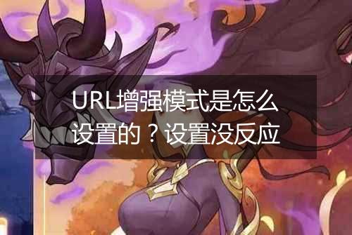 URL增强模式是怎么设置的?设置没反应