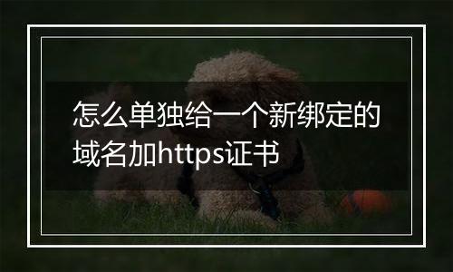 怎么单独给一个新绑定的域名加https证书