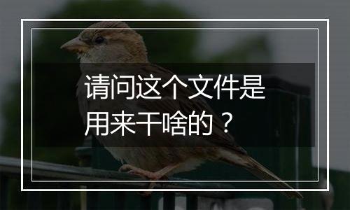 请问这个文件是用来干啥的?