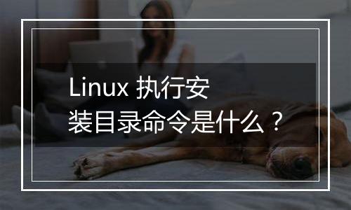 Linux 执行安装目录命令是什么？