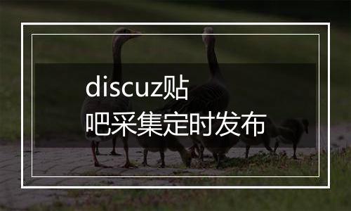 discuz贴吧采集定时发布