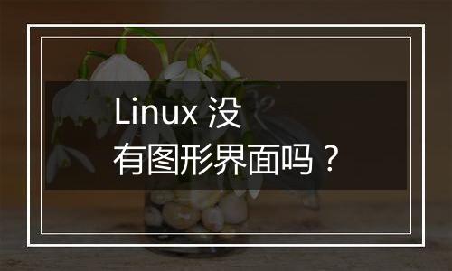 Linux 没有图形界面吗?
