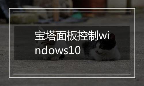 宝塔面板控制windows10