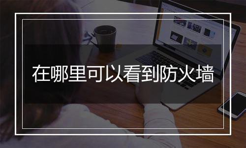 在哪里可以看到防火墙