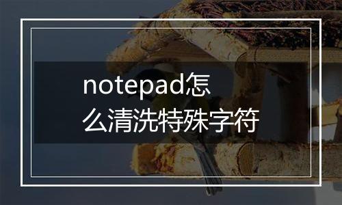 notepad怎么清洗特殊字符