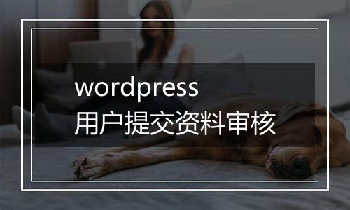 wordpress用户提交资料审核