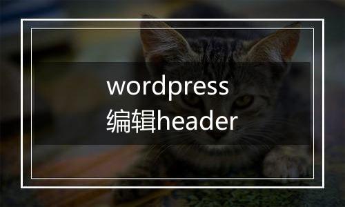 wordpress编辑header