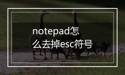 notepad怎么去掉esc符号