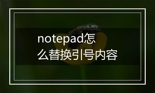 notepad怎么替换引号内容