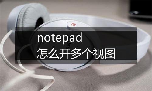 notepad怎么开多个视图