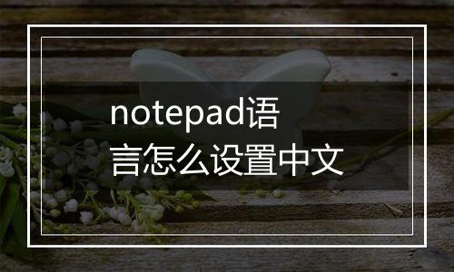 notepad语言怎么设置中文