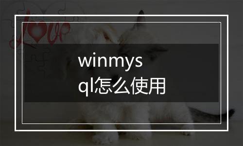 winmysql怎么使用