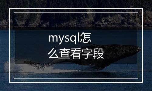 mysql怎么查看字段