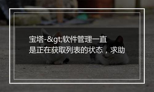 宝塔->软件管理一直是正在获取列表的状态,求助