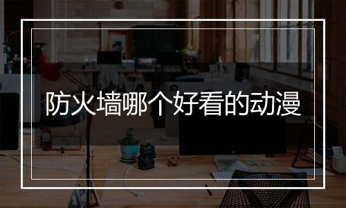 防火墙哪个好看的动漫