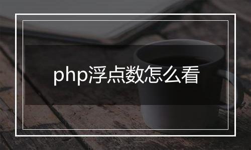 php浮点数怎么看