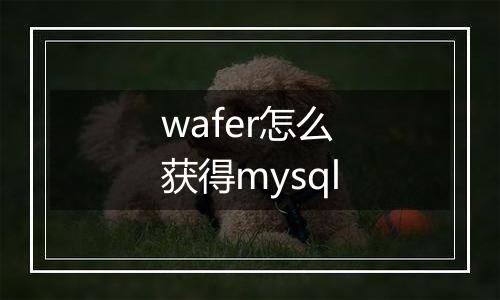 wafer怎么获得mysql