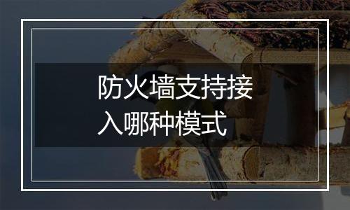 防火墙支持接入哪种模式