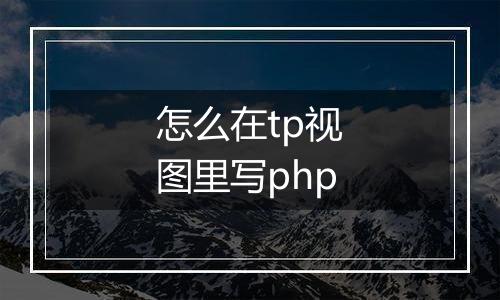 怎么在tp视图里写php