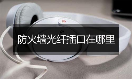 防火墙光纤插口在哪里