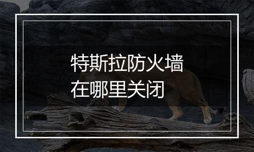 特斯拉防火墙在哪里关闭