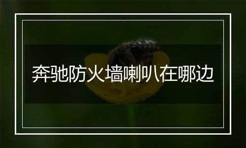 奔驰防火墙喇叭在哪边