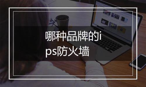 哪种品牌的ips防火墙