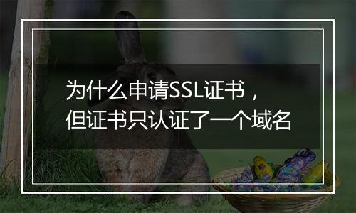 为什么申请SSL证书,但证书只认证了一个域名