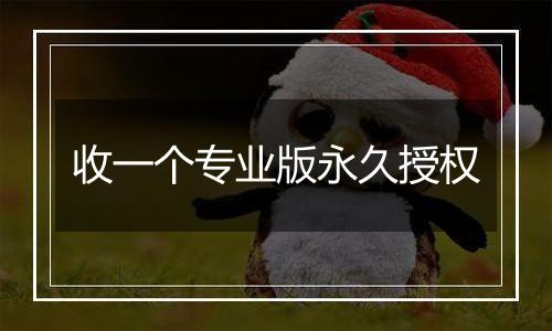 收一个专业版永久授权