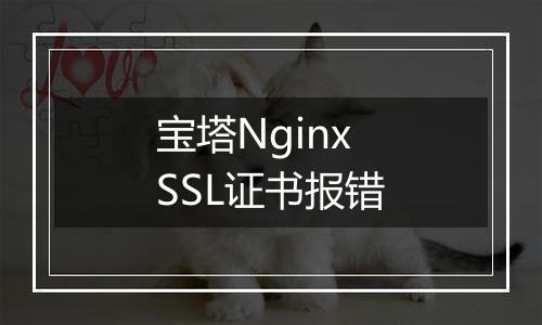 宝塔Nginx SSL证书报错