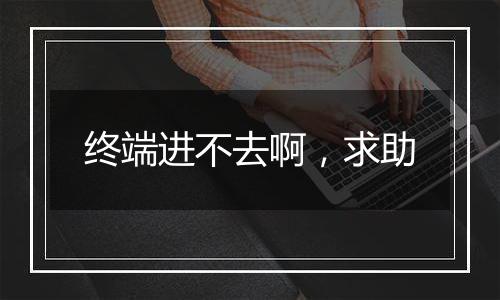 终端进不去啊,求助