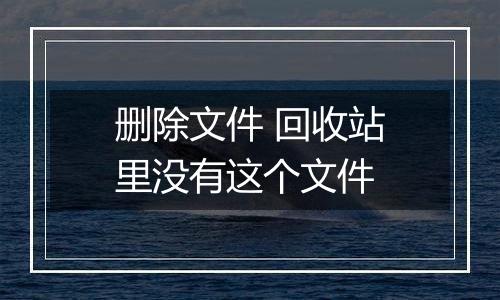 删除文件 回收站里没有这个文件