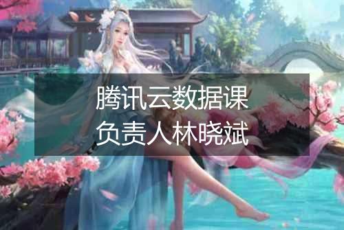 腾讯云数据课负责人林晓斌