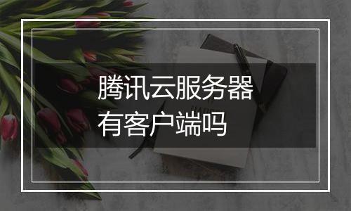 腾讯云服务器有客户端吗