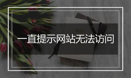 一直提示网站无法访问