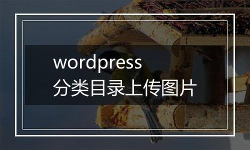 wordpress分类目录上传图片
