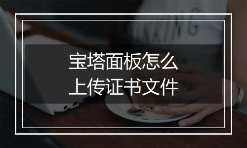宝塔面板怎么上传证书文件