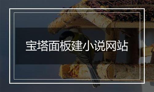 宝塔面板建小说网站