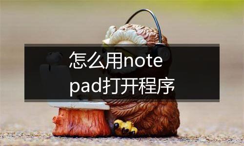 怎么用notepad打开程序