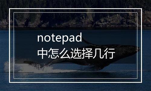 notepad中怎么选择几行