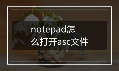 notepad怎么打开asc文件
