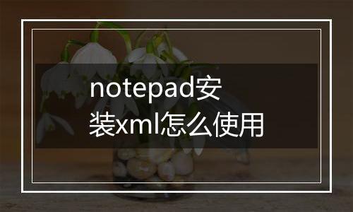 notepad安装xml怎么使用