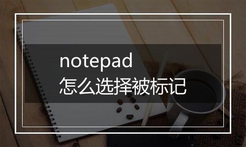 notepad怎么选择被标记