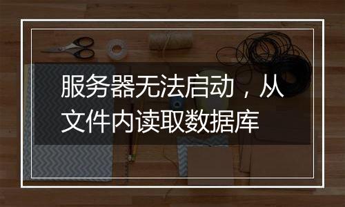 服务器无法启动，从文件内读取数据库