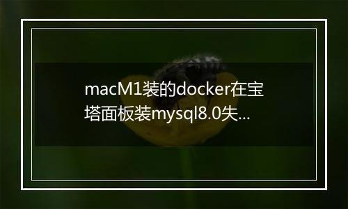 macM1装的docker在宝塔面板装mysql8.0失败