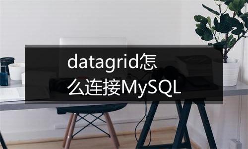 datagrid怎么连接MySQL