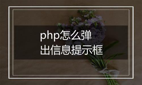 php怎么弹出信息提示框