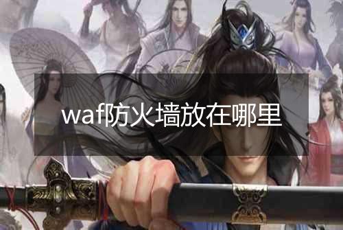 waf防火墙放在哪里