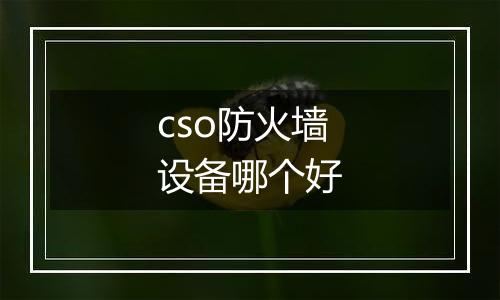 cso防火墙设备哪个好